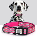 Reflective Dog Collar with QR Code Tag, Personalized Dog Collar, Safety Night Visibility, Anti-Loss Function (Rose Red, Small)