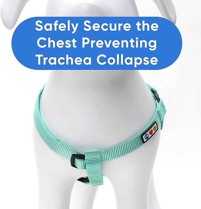 Pawtitas Solid Step-in Dog Harness – Adjustable No-Pull Vest for Puppies to Seniors, Safe & Comfortable M Teal