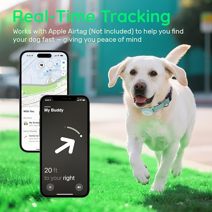 Apple Tag Holder Dog Collar, Reflective Ultra-Durable Nylon Padded with QR Code Buckle & IP68 Waterproof for AirTag Holder Compatible for Apple Tag, Comfortable for Small Medium Large Dogs(Green,M)