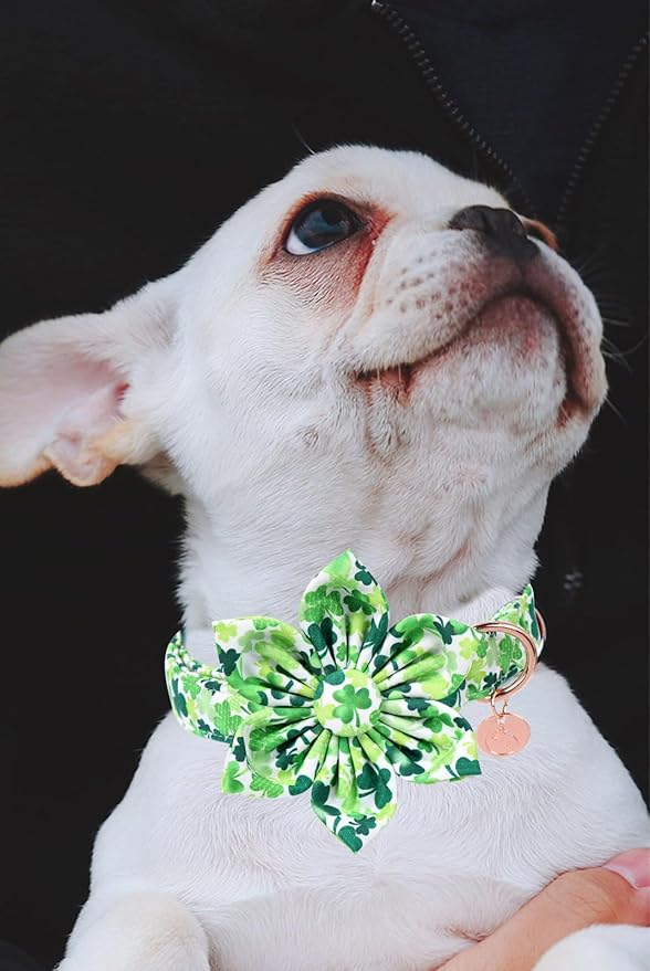 DOGWONG St. Patrick's Day Dog Collar-Cute Clovers Dog Collar with Bow, Cotton Trefoil Bowtie Dog Collars with Metal Buckle for Small Medium Large Dogs