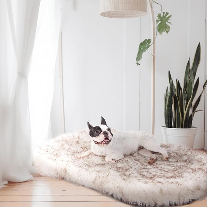 Laifug Luxury Faux Fur Dog Bed, 5-inch Thick Grade Ultra Soft Orthopedic Memory Foam Dog Bed with Faux Fur Cover, Plush Pup Rug with Removable Cover, Waterproof Liner（White）