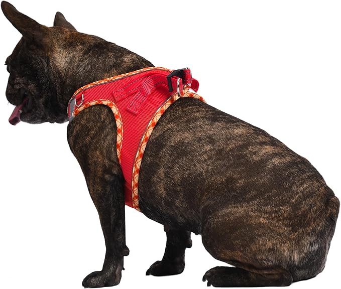 AMTOR Small Dog Harness with Leash Set, No Escape Easy Walk Puppy Harnesses for Training Walking, Step-in Reflective Soft Dogs Vest for XS S Medium Extra-Small Large Sized Dog(Red,L)