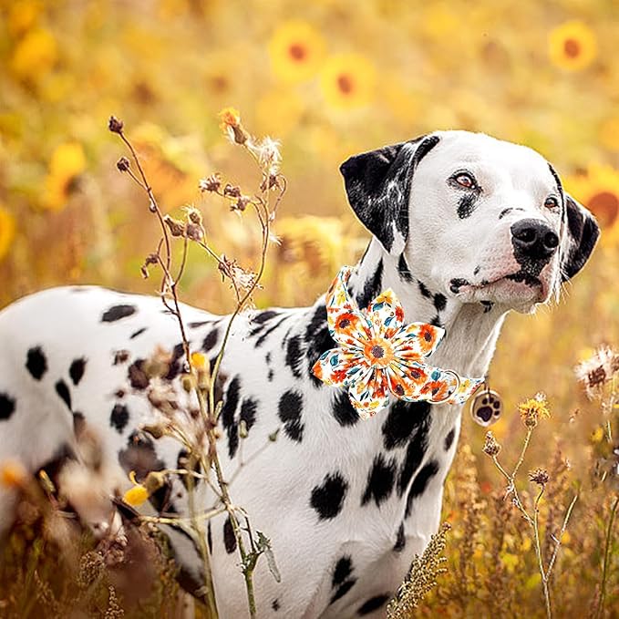 Lionheart glory Dog Collar Flowers Collar Floral Dog Collar with Flower Spring Summer Cute Collar Dog Boy or Girl Dog Collars Soft Durable Adjustable Dog Collars for Large Dogs