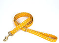 Organic Cotton Dog Leash for Small,Medium and Large Breed,Brass Hardware Pet Leash for Walking,Running and Training 6FT