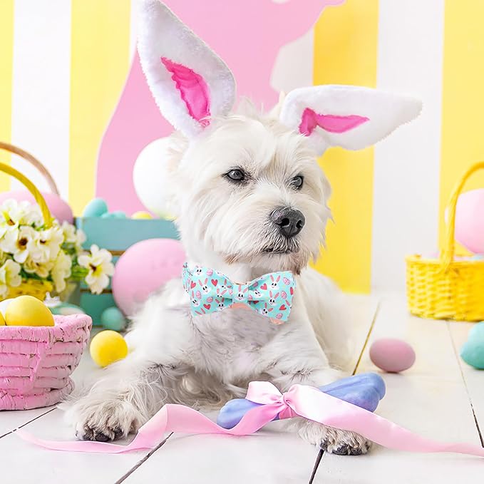 DOGWONG Cotton Easter Dog Collar with Bowtie, Soft Adjustable Blue Bunny Easter Day Dog Collar Cute Colorful Egg Puppy Collar for Small Medium Large Dog