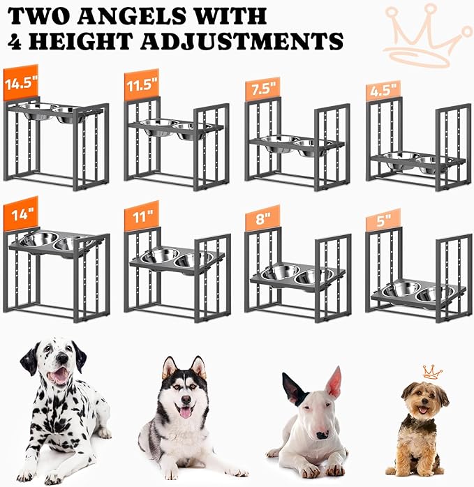 Elevated Dog Bowls for Medium Breed: 4 Height Adjustable Raised Dog Bowl Feeder Station with 2 Stainless Steel Bowls, Grey