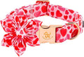 Elegant little tail Valentine's Dog Collar - Pink Red Heart Dog Collars Flower Pet Collars with Sturdy Metal Buckle Cute Flower Puppy Adjustable Collar for Large Dogs
