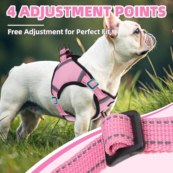PUPTECK No Pull Dog Harness Small Sized Dog, Adjustable Reflective Escape Proof Easy Control, Comfortable Soft Padded Step in Pet Vest Harness, Pink, S