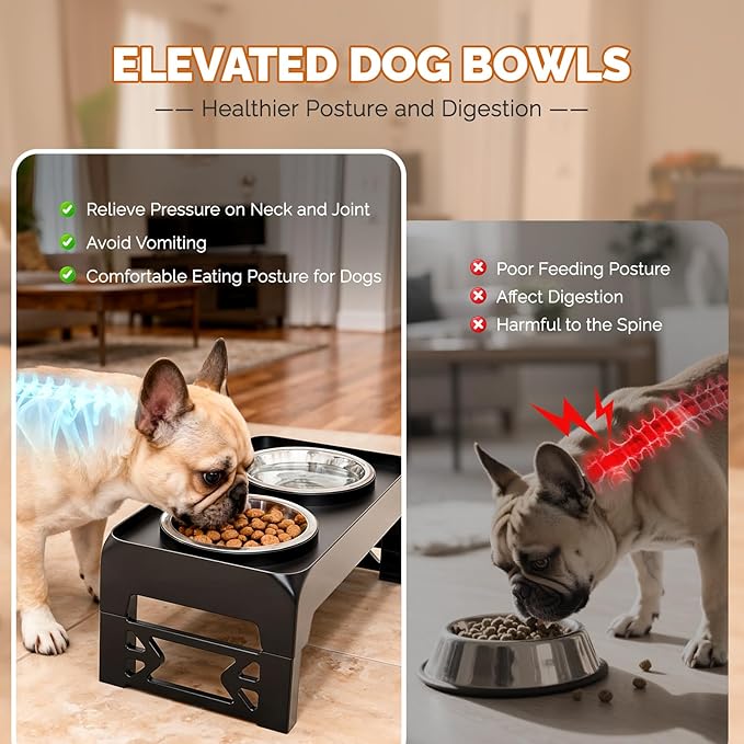Elevated Dog Bowls for Small Medium Dogs - Adjustable Mess Proof Raised Dog Bowl Stand with 2 Premium 17oz Stainless Steel Food Bowl Dish Feeder Adjusts to 2.6’’- 5.3’’ Non-Slip Black