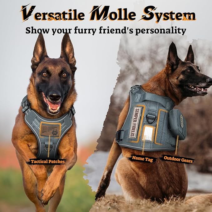 rabbitgoo Dog Harness Small Sized No Pull, Tactical Service Pet Vest with Molle and Control Handle, Adjustable and Reflective Military Harness for Easy Walking and Training, Grey, S