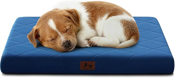 Orthopedic Dog Beds for Small Dogs, Washable Pet Bed Mat with Removable Cover, Waterproof Egg Crate Foam Puppy Bed Anti Slip, 23" x 18"