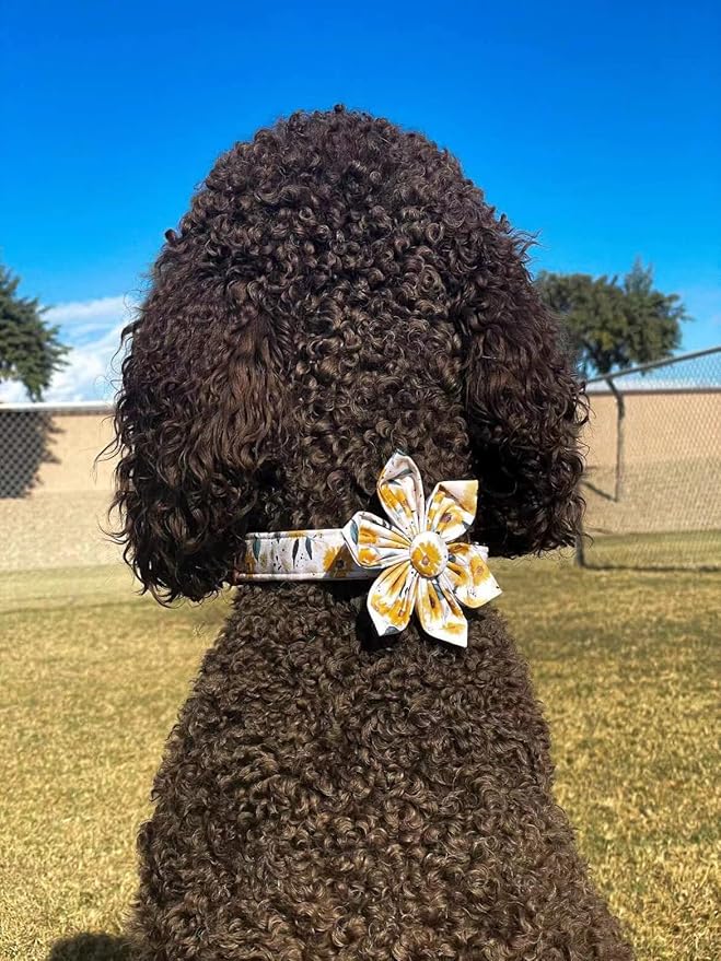 Elegant little tail Sunflower Girl Dog Collar for Female Dogs, Pet Collar Adjustable Dog Collars with Flower Gift for X-Small Dogs and Cats