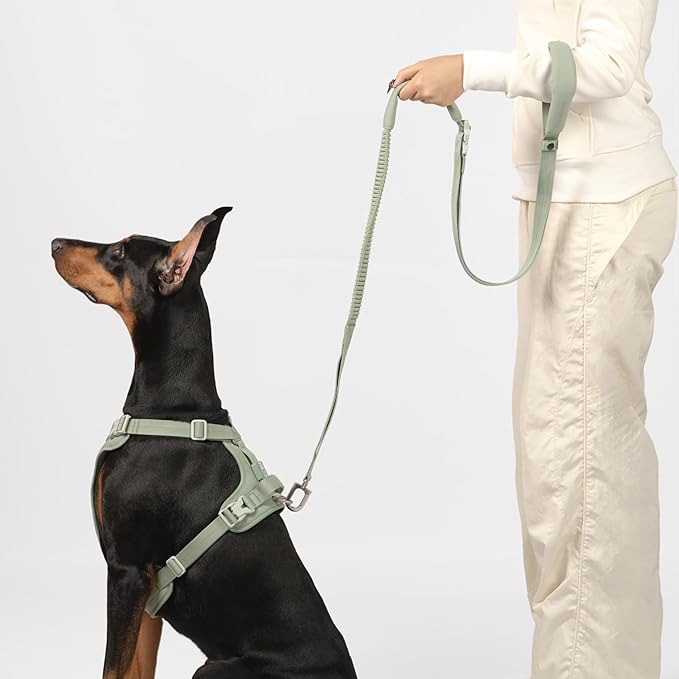 Hands Free Dog Leash Adjustable Versatile Crossbody Waist Dog Leash Reflective Comfortable Padded Handles Shock Absorbing Walking Lead for Small Medium Large Dogs (Light-Olive, S)