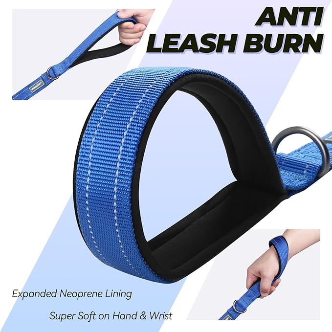VIVAGLORY Twingrip Dog Leash, Double Handle Dog Leash for Training & Walking with Traffic Handle & 2 Loop, Traffic Control Reflective Heavy Duty for Puppy Pet, 4ft x 1in, Blue