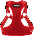 Best Pet Supplies Voyager Adjustable Step-in Flex Breathable Mesh Dog Harness for Small Medium Large Dogs (Red), L