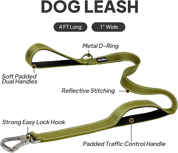 PetiFine 4FT Heavy Duty Dog Leash with Soft Padded Double Handle, Durable Strong Clasp Dog Leashes, Reflective Nylon Walking Lead for Large,Medium,Small Breed Dogs, Green