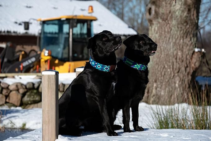 Eternia Premium Leather Dog Collar - Adjustable Handcrafted Collar for Small to Large Dogs (Blue/Green, L)