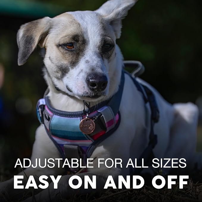 Embark Adventure Dog Harness, Reflective Trim No Pull Dog Harness for Large Dogs - Military Grade Nylon, Front Clip Dog Harness with Gel Lined Handle. Soft & Padded Puppy Dog Harnesses for Any Breed