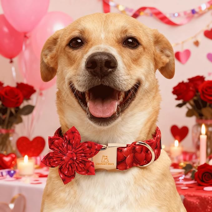 Lionheart glory Dog Collar with Flower - Valentine's Day Dog Collar for Large Dogs Red Hearts Print Collars Soft Adjustable with Flower Male Female Dogs Spring Cute Collars
