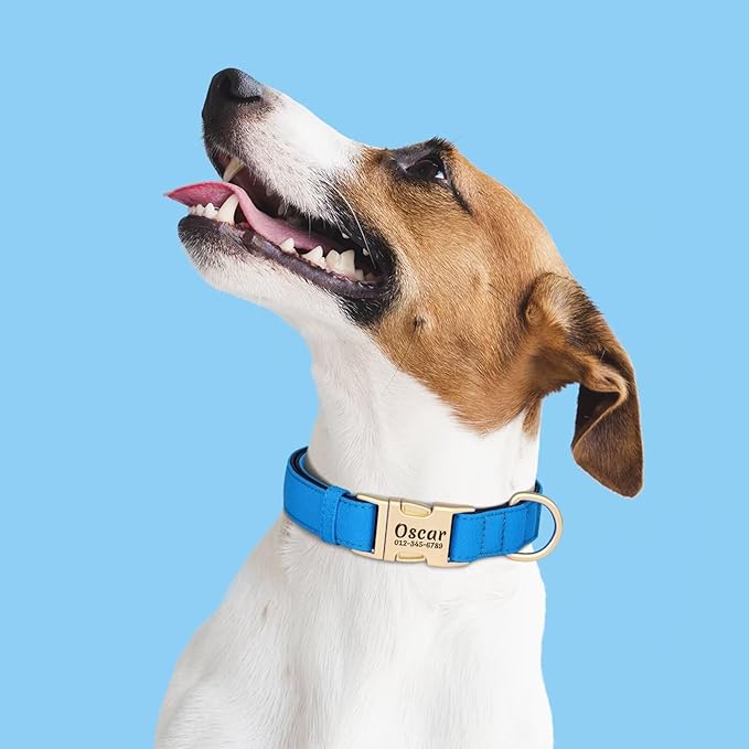 PET ARTIST Colorful Personalized Dog Collars, Custom Dog Collar with Silent Engraved ID Tag, Lightweight Breathable Nylon & Soft Padded, Matching Leash & Poop Bag for Medium Dogs,Blue,M Fit 13-20"