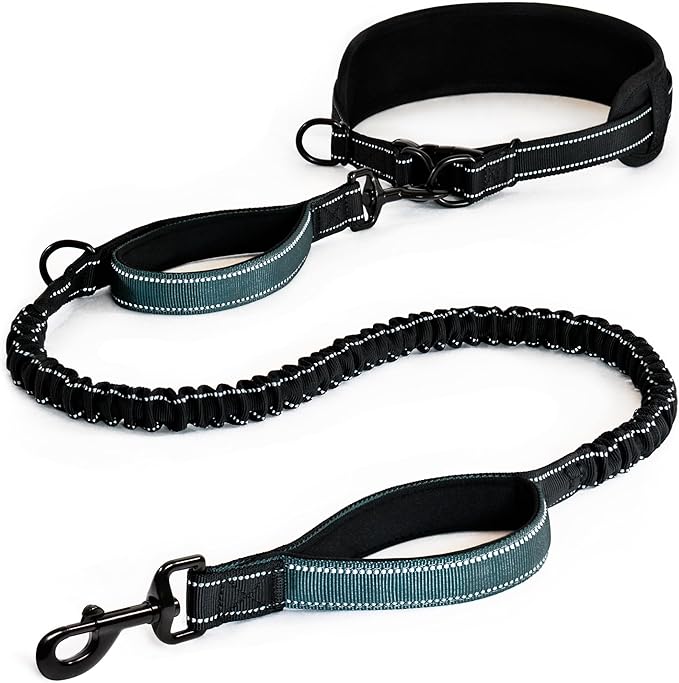 Waist Leash for Dog Walking, Running Leash for Dogs with Metal Quick-Release Buckle, Shock-Absorbing Rope Bungee, Neoprene Lumbar Support - Comfortable Hands Free Control for Daily Walks