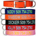 GoTags Custom Embroidered Dog Collar with Metal Buckle, Personalized Dog Collar with Pet Name and Phone Number, 10 Collar Sizes for Puppy and Dogs Extra Small, Small, Medium or Large