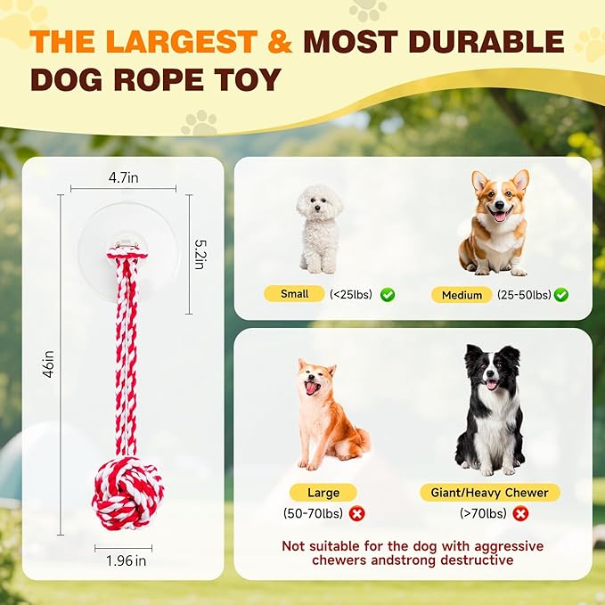 Puppy Dog Toys:Interactive Sticky Suction Cup Tug & Pull-Apart Toy,Durable Rope and red and White chew Ball，The Indestructible Enrichment Puzzle, Built for Aggressive and Busy chewers