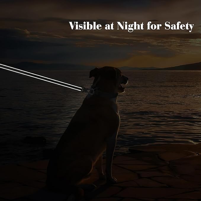 PetiFine 5FT Heavy Duty Dog Leash with Soft Padded Double Handle, Durable Strong Clasp Dog Leashes, Reflective Nylon Walking Lead for Large,Medium,Small Breed Dogs, Rose