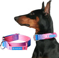 Spark Paws Tactical Dog Collar with Handle - Premium Quality Collar, Robust and Durable Design for Large, Strong Breeds - Pitbulls, Labradors, GSD - Snow Cone - S - 1.5"