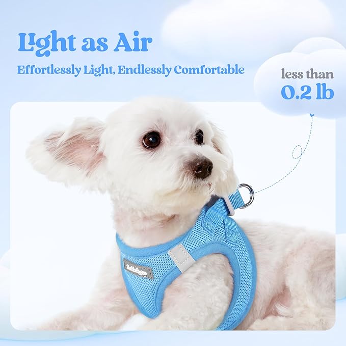 rabbitgoo Dog Harness Small Sized and Leash Set, Step in Soft Light Puppy Vest, Breathable Mesh Pet Harness, Reflective for Safe Easy Walking, Blue S