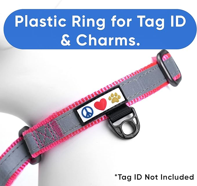Pawtitas Pink Reflective Martingale Dog Collar, Small