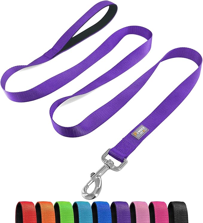 Basic Dog Leashes 6 FT Padded Handle Nylon Dogs Leashes for Small Dogs Purple