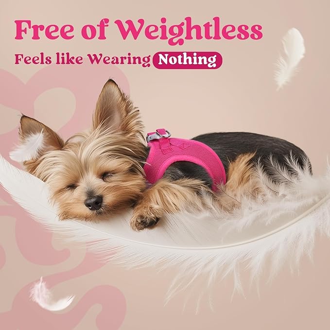 rabbitgoo Small Dog Harness, Step-in Soft Mesh Puppy Vest with Safety Buckle, Breathable Reflective Pet Harness for Small Sized Dogs, Rose Red M