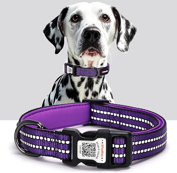 Reflective Dog Collar with QR Code Tag, Personalized Dog Collar, Safety Night Visibility, Anti-Loss Function (Purple, Medium)
