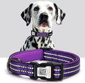 Reflective Dog Collar with QR Code Tag, Personalized Dog Collar, Safety Night Visibility, Anti-Loss Function (Purple, Large)