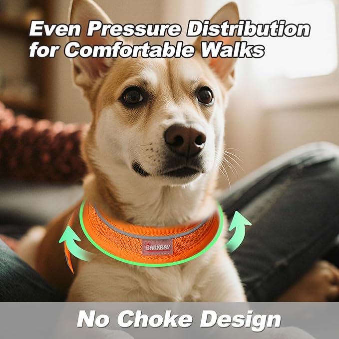 Dog Harness and Leash Set,Step in Small Sized Dog Harness,Soft Mesh,No-Chock,Reflective Adjustable,Secure with Hook & Loop Fastener,Puppy Vest for Small,Medium Dogs(Orange,XXXS)