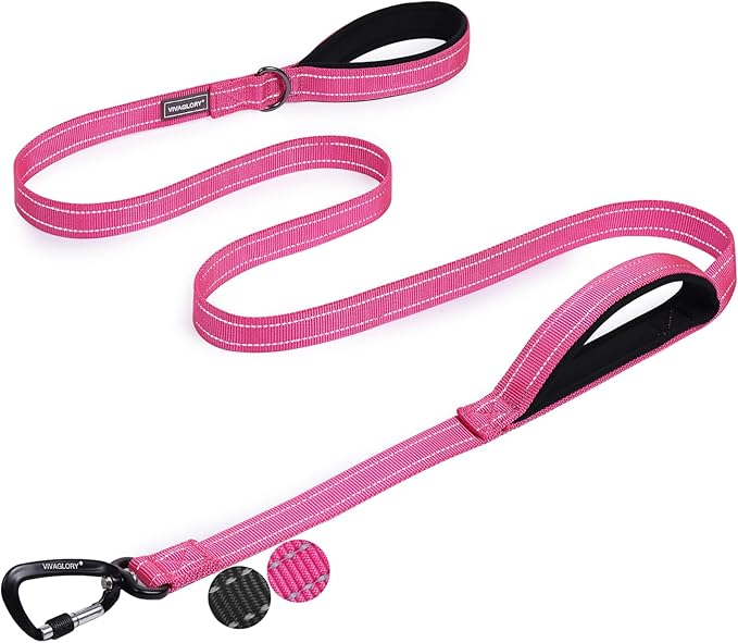 VIVAGLORY Dog Leash Lighthook Double Handle Dog Leash with Traffic Handle & Locking Carabiner for Walking & Training, Traffic Control Lightweight Carabiner for Puppy Pet, 4ft x 1in, Pink