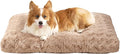 EHEYCIGA Washable Large Dog Bed for Crate 35x23 Inch, Reversible Kennel Pad for Dogs Weight Up to 45 lbs, Plush and Comfy Pet Sleeping Mat, Camel