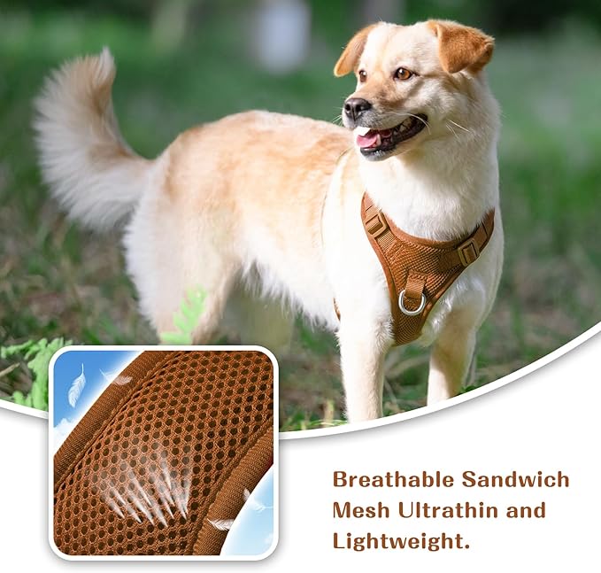 No Pull Dog Harness for Small Medium Large Dogs - Adjustable 2 Layer Mesh Dog Vest with Dual Clip, Escape Proof, Quick Release, Lightweight Breathable Mesh for Walking Hiking (Carmel Brown,M)
