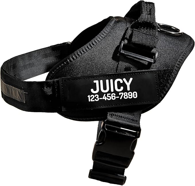 PawPawify Personalized No Pull Dog Harness with 2 Custom Name & Phone Patches, Reflective Breathable Pet Vest for Walking Training, Adjustable Heavy Duty Service Dog Vest for Small Medium Large Dogs