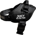 PawPawify Personalized No Pull Dog Harness with 2 Custom Name & Phone Patches, Reflective Breathable Pet Vest for Walking Training, Adjustable Heavy Duty Service Dog Vest for Small Medium Large Dogs