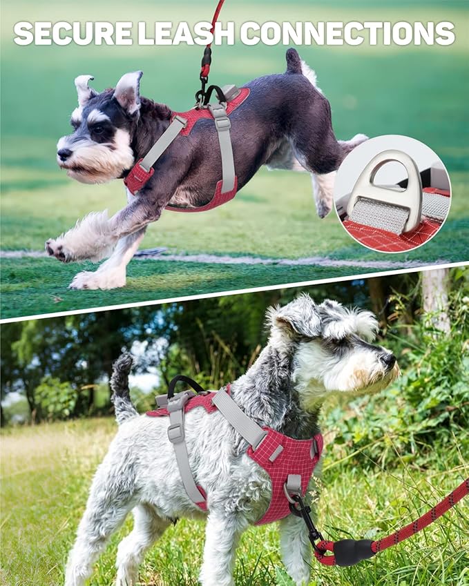TagME No Pull Dog Harness with 2 Leash Clips,Lightweight & Visible for All-Day Walking,No Choke Pet Vest Includes AirTag Holder for Small Dogs,Melon Red