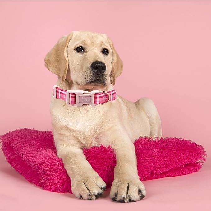 Elegant little tail Dog Collar with Leash, Pink Plaid Pet Collar Leash Adjustable Collar for Small Medium Large Dogs Soft Puppy Collars with Quick Release Buckle Girl Boy Dog Collars