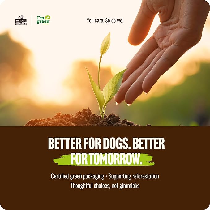 Natural Farm Odor Free Bully Sticks (7 Inch, 10 Pack), 100% Beef Pizzle Chews for Pups, Small and Medium Dogs - Fully Digestible & Best Natural Dental Treats to Keep Your Dog Busy & Happy