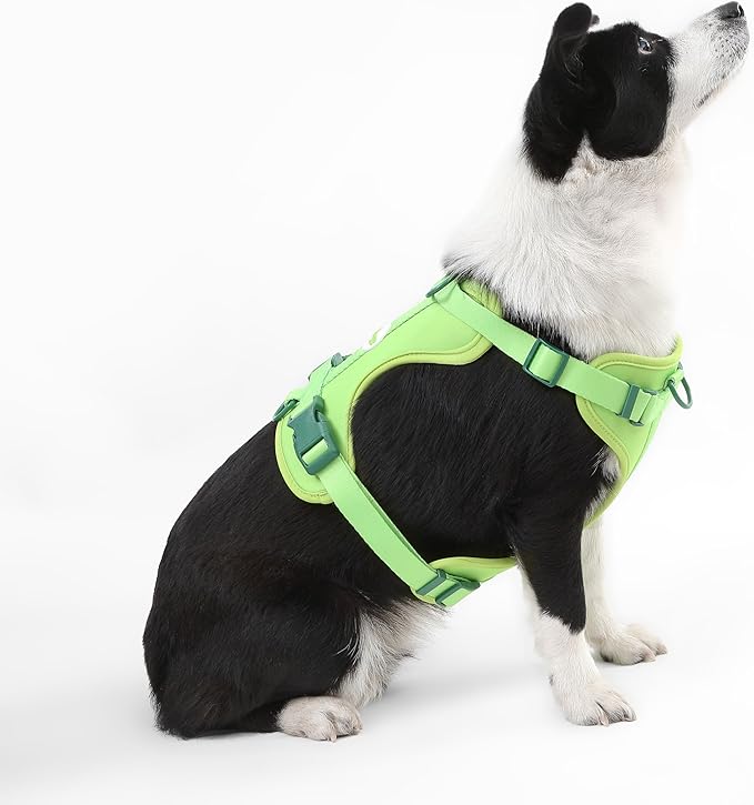 HNS1003B Arlo Large Adjustable Soft Padded No Pull Pet Harness with 3 Buckles and 3 Leash Clips, Mojito
