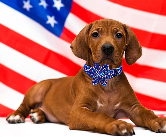 Lionheart glory American Flag Dog Collar 4 of July Dog Collars with Flower Independence Patriotic Dog Flower Collars Heavy Duty Adjustable Collar Flower for Small Dogs Pet Gift