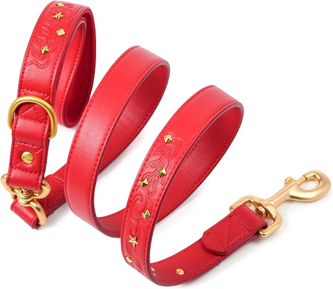 Blueberry Pet Premium Embossed Red Glam Microfiber Leather Dog Leash with Gold Studs