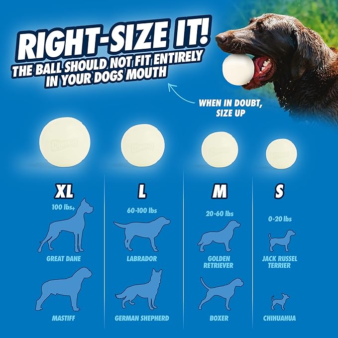 Chuckit! Glow in the Dark Bouncy Ball for Dogs, Chuckit Dog Toy, Max Glow Balls - Large, 3 Inch, Pack of 1
