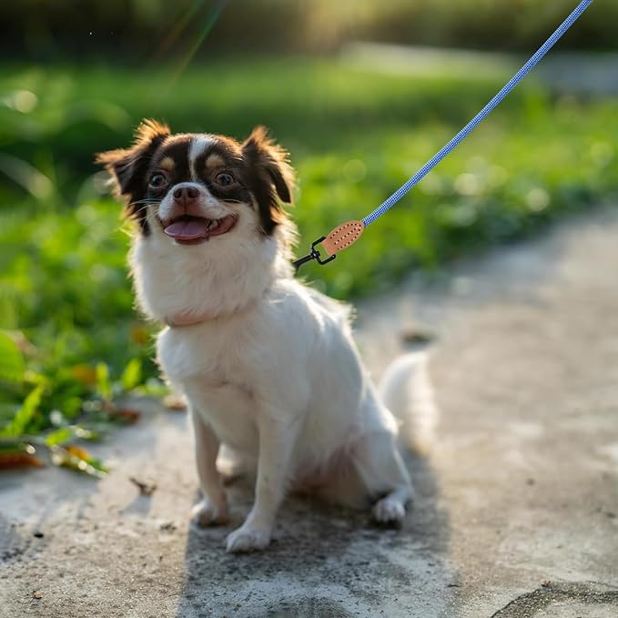 Mile High Life Small Dog Leash, Thin Rope Leash with Genuine Leather Connection and Heavy Duty Metal Clasp, Great for Small Medium Dogs(Blue White,60 Inch-1/3)
