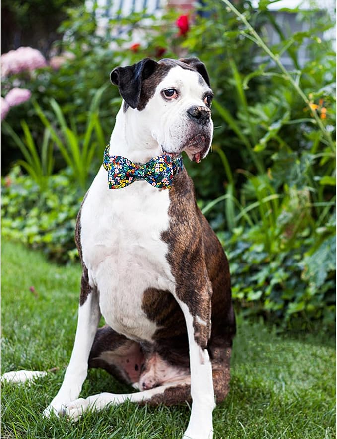 Lionheart glory Dog Collar Darkblue Flower Dog Bow Collar Floral with Bow Adjustable Soft Pet Collars Male or Female Spring Summer Collars for Small Dogs Puppy